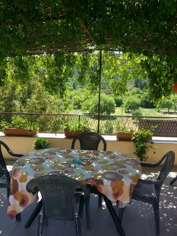 Apartments Darinka Skradin Cameră foto